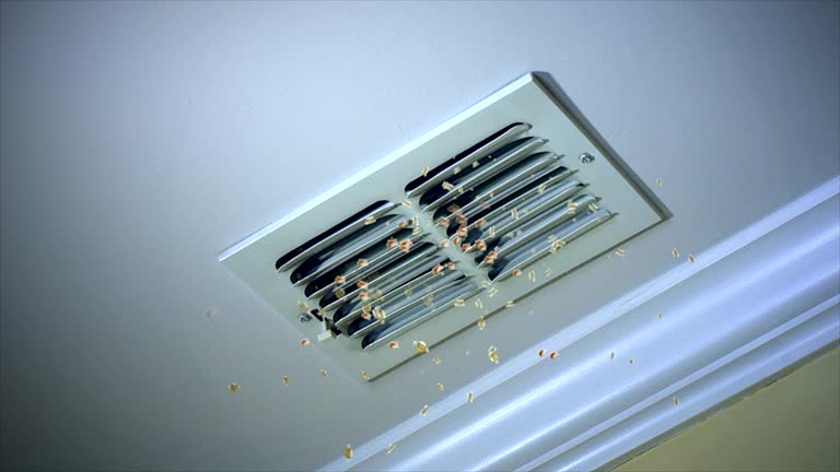 Best Duct Cleaning for Homes  in Vamo, FL