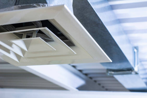 Best Air Duct Cleaning Near Me  in Vamo, FL