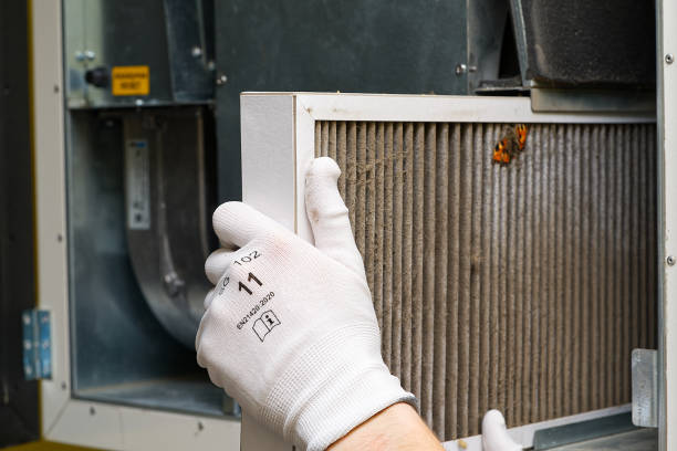Air Quality Test in Vamo, FL