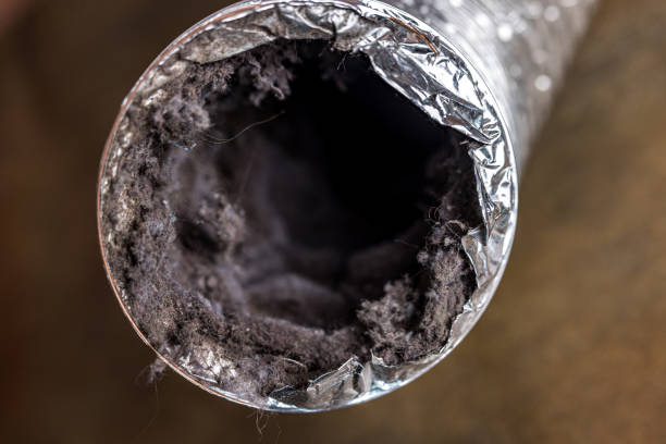 Best Professional Duct Cleaning Services  in Vamo, FL