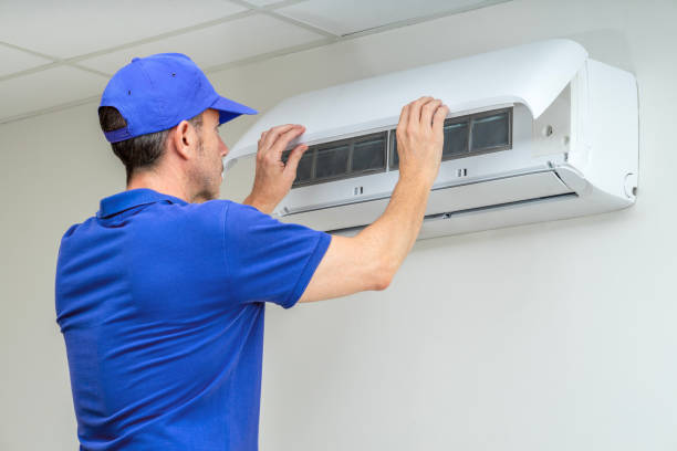 Best Home Air Vent Cleaning  in Vamo, FL