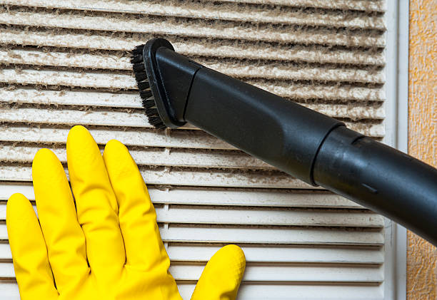 Best Emergency Air Duct Cleaning  in Vamo, FL